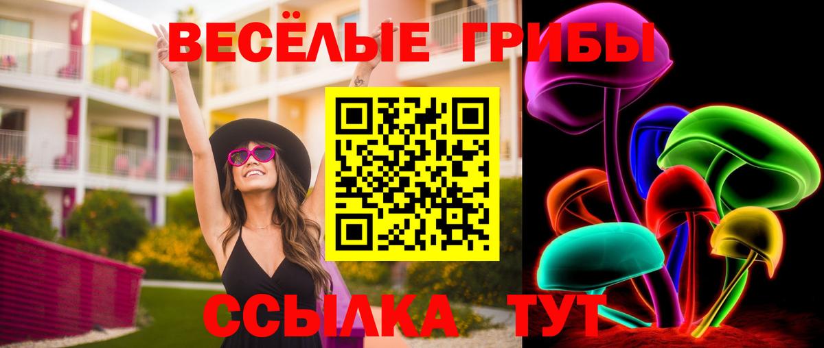 Гай  Галлюциногенные грибы GOLDEN TEACHER  Вход с VPN 